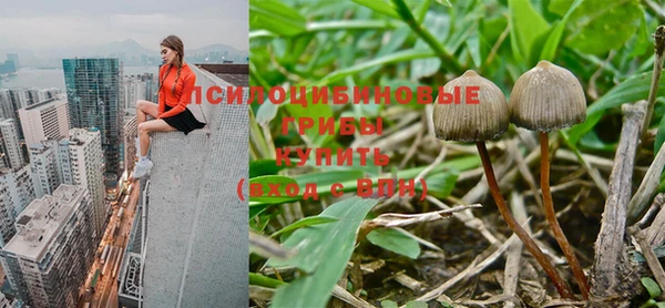 мескалин Алексин