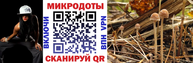 Галлюциногенные грибы GOLDEN TEACHER  что такое наркотик  Орск 